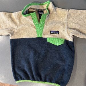 Patagonia Micro D Snap-T pullover
